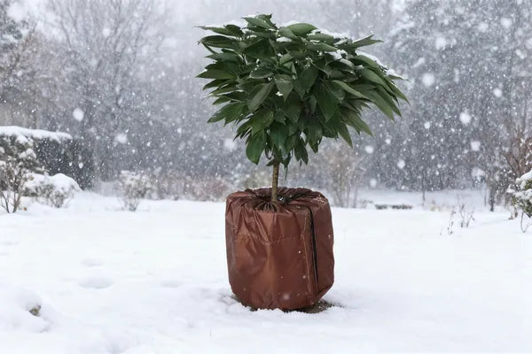 Plant Covers Freeze Protection Winter Frost Bag Zipper Drawstring Outdoor Garden