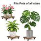 12" Acacia Wood Rolling Plant Caddy Stand Locking Wheels Indoor Outdoor Planter