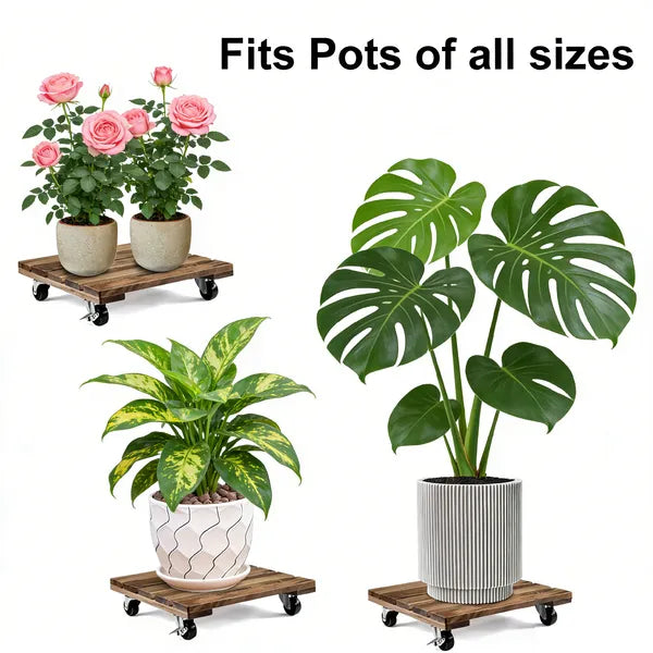 12" Acacia Wood Rolling Plant Caddy Stand Locking Wheels Indoor Outdoor Planter