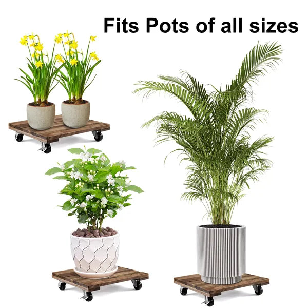12" Acacia Wood Rolling Plant Caddy Stand Locking Wheels Indoor Outdoor Planter