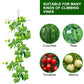 7FT Garden Trellis T-Type Plant Support Stake Tomato Cucumber Peas Climbing Vines