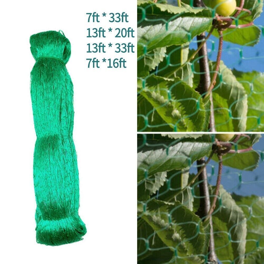 486561581