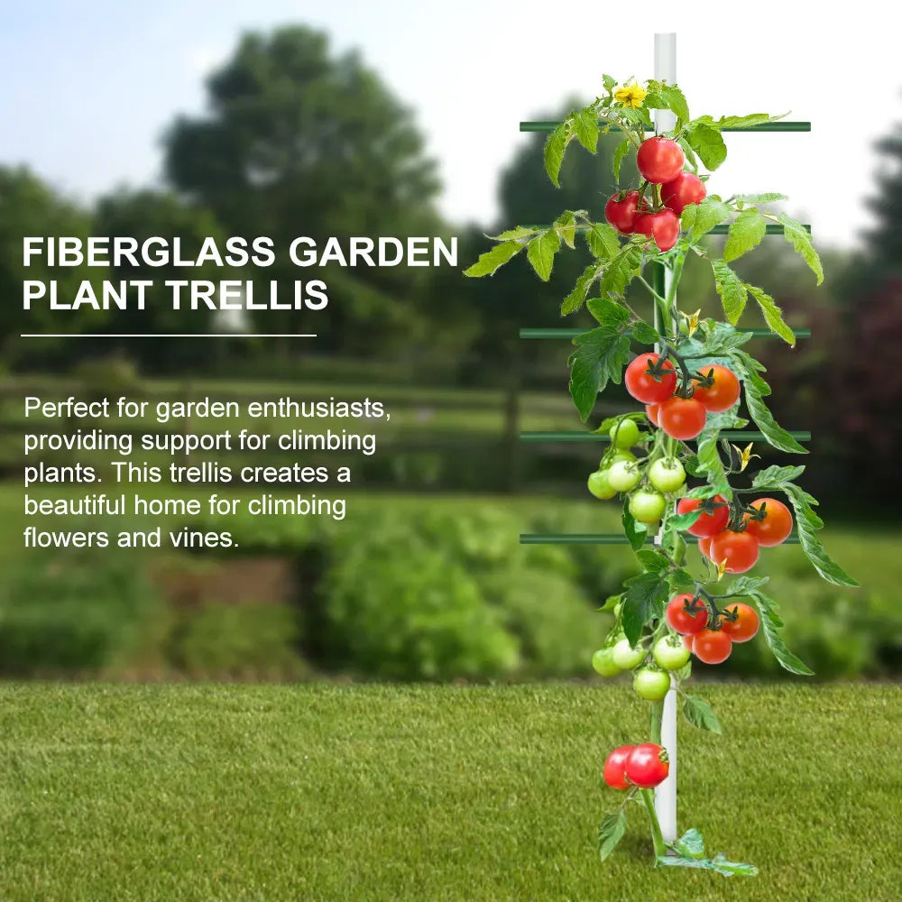 6FT Fiberglass Garden Trellis Plant Support Tomato Cucumber Climbing Vines 1PC
