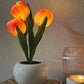 Tulip Lamp LED Table Lamp Flower Vase Desktop Decoration Dimmable Night Light