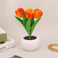 Tulip Lamp LED Table Lamp Flower Vase Desktop Decoration Dimmable Night Light