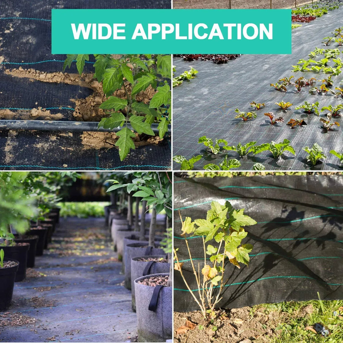 3x100 FT Landscape Fabric Weed Barrier Heavy Duty Woven Garden Ground Cover