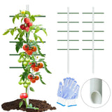 6FT Garden Trellis Tomato Cucumber Climbing Plant Support Vine 2FT Wide 1PC