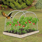 25 ft x 50 ft White Garden Bird Netting Anti Bird Outdoor Protection Net 2 Pack