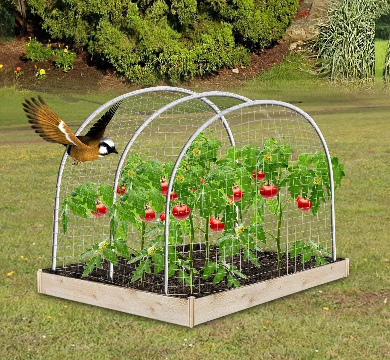 25 ft x 50 ft White Garden Bird Netting Anti Bird Outdoor Protection Net 2 Pack