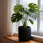 Plant Pot Thermal Insulation Bag Winter Frost Cover Zipper Drawstring Root Warm