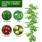 6FT Garden Trellis Tomato Cucumber Climbing Plant Support Vine 2FT Wide 1PC