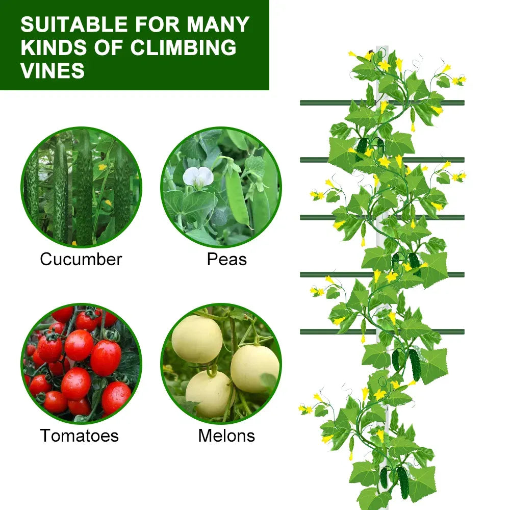 6FT Garden Trellis Tomato Cucumber Climbing Plant Support Vine 2FT Wide 1PC