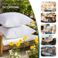 Pack of 2 Outdoor Pillow Inserts Throw Pillow Soft Premium Fluffy Cushion 18x18
