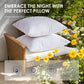 Pack of 2 Outdoor Pillow Inserts Throw Pillow Soft Premium Fluffy Cushion 18x18