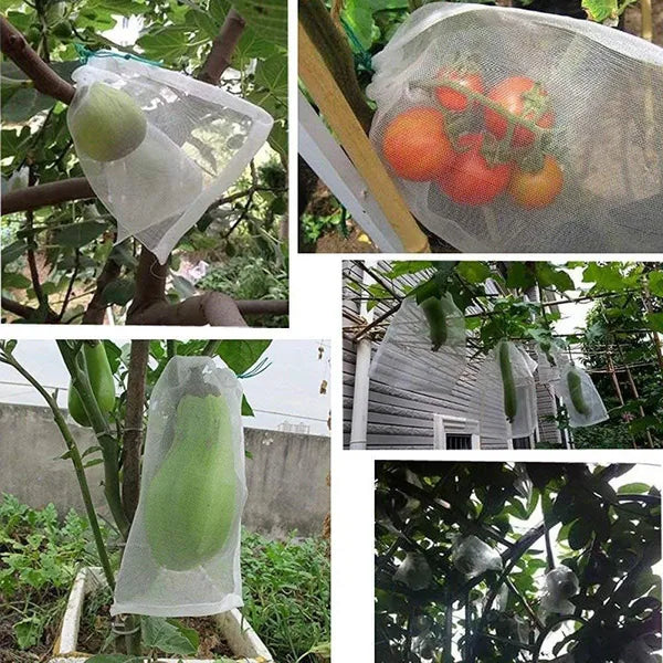 Fruit Protection Bags 12x8 10 Pcs Insect Barrier Mesh Bags Drawstring White