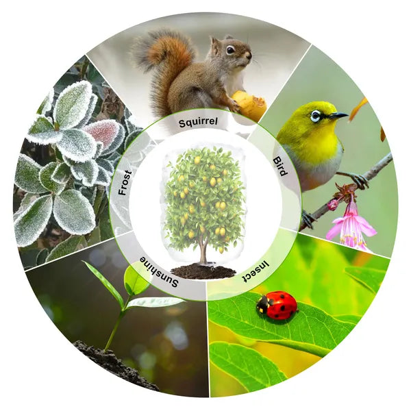 72x72 Insect Barrier Bag With Rope Fruit Tree Netting Cover Bird Squirrel Mesh