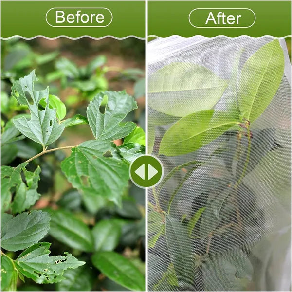 72x72 Insect Barrier Bag With Rope Fruit Tree Netting Cover Bird Squirrel Mesh