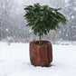 Plant Covers Freeze Protection Winter Frost Bag Zipper Drawstring Outdoor Garden